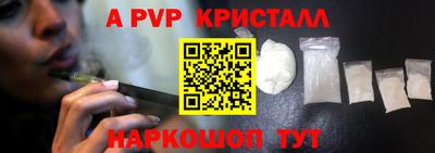 стафф Камышлов