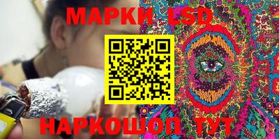 стафф Камышлов