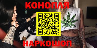 стафф Камышлов
