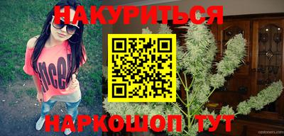 стафф Камышлов