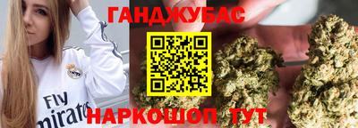 стафф Камышлов