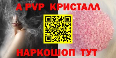 ECSTASY Канаш